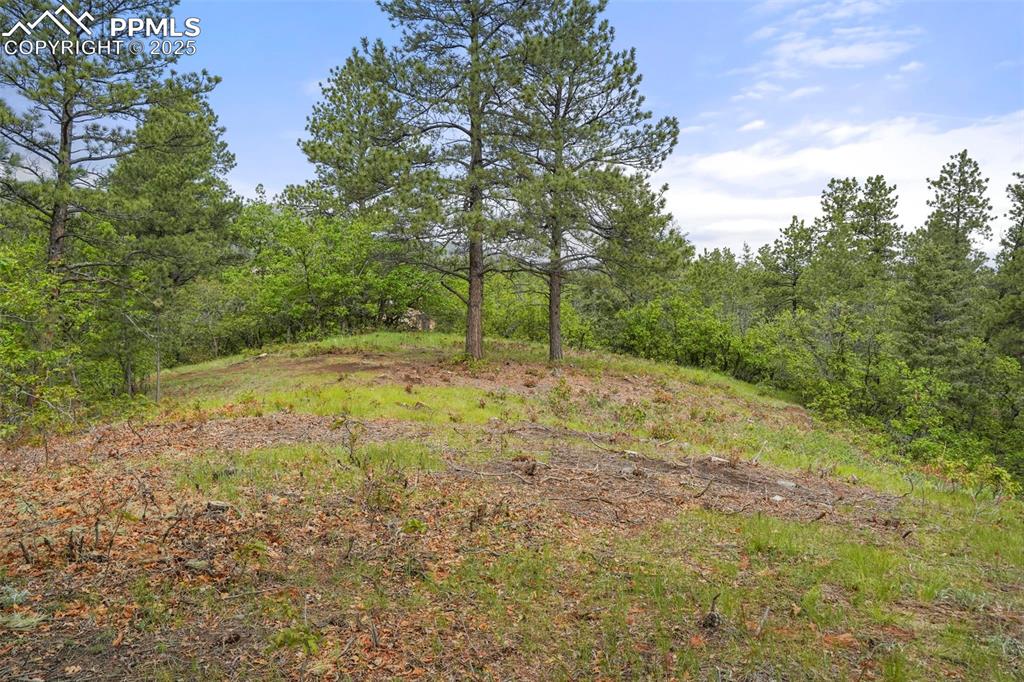 Image 3 of 15: Other