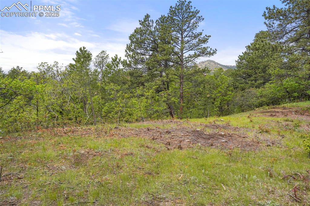 Image 4 of 15: Other