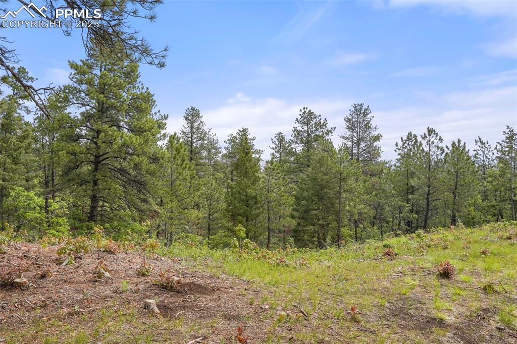 Image 6 of 15: Other