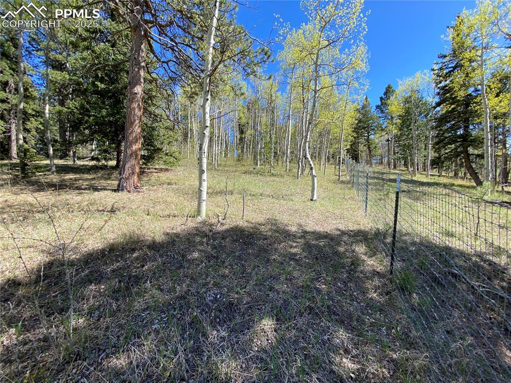 Image 34 of 36: While also being fully fenced so all your animals can roam freely