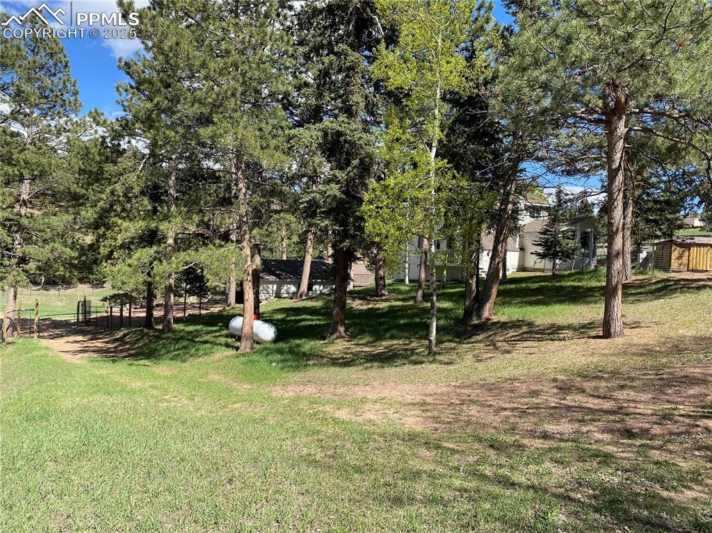 Image 35 of 36: Offering seclusion while being minutes away from downtown Woodland Park
