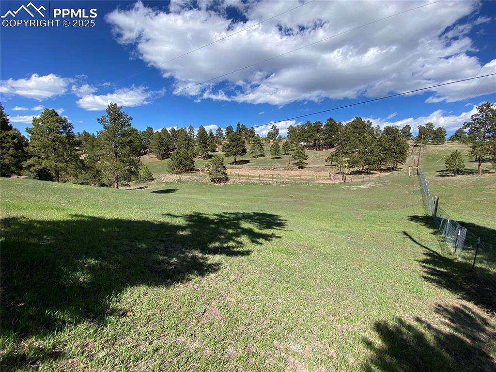Image 5 of 36: Zoned for horses and plenty of meadowland