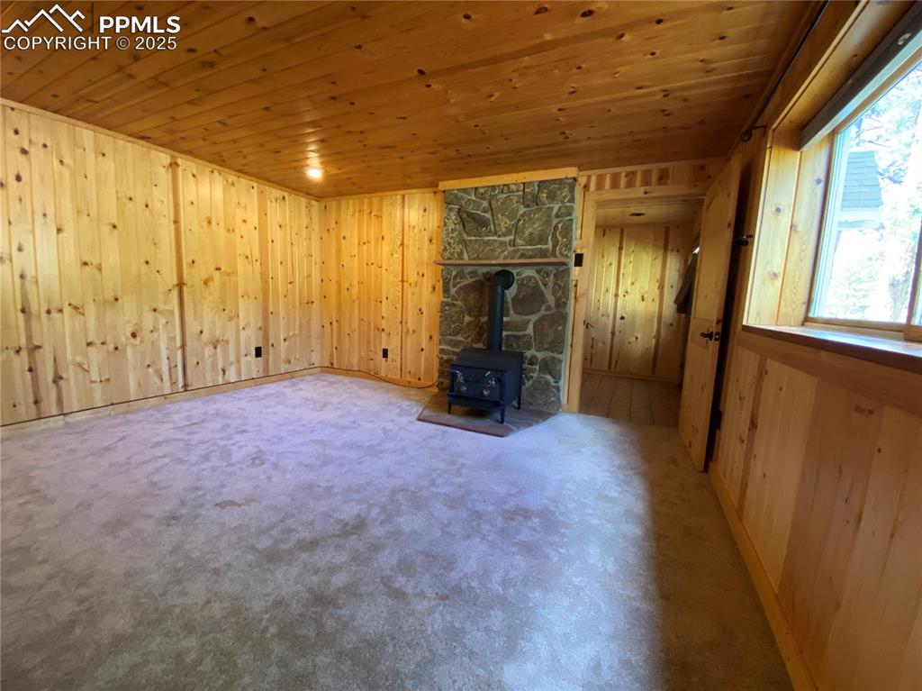 Image 8 of 36: The basement bedroom has it