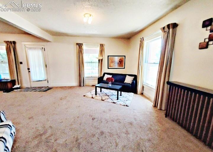 Image 9 of 38: Living Room