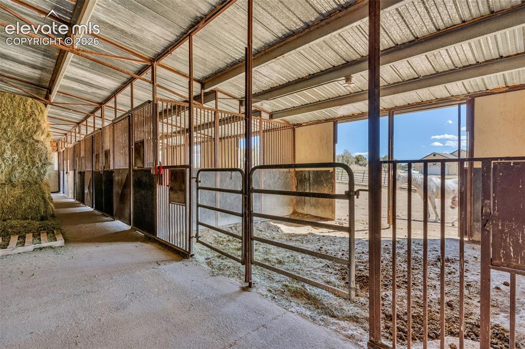 Image 34 of 46: Stable