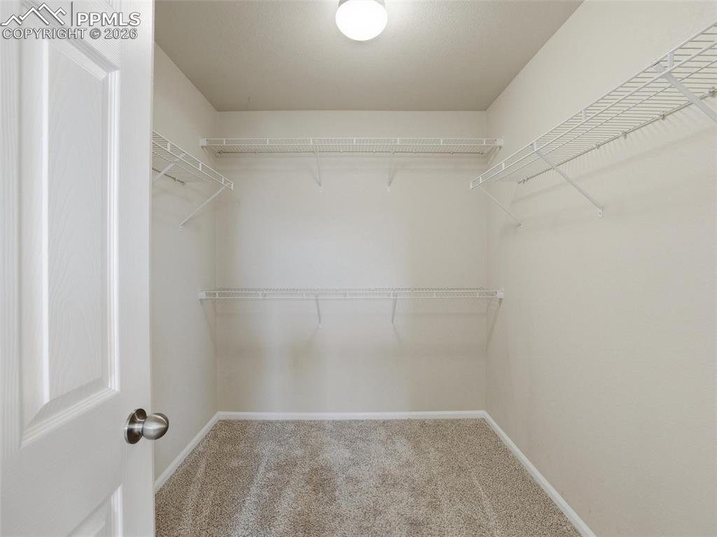 Image 31 of 45: Spacious closet with light carpet
