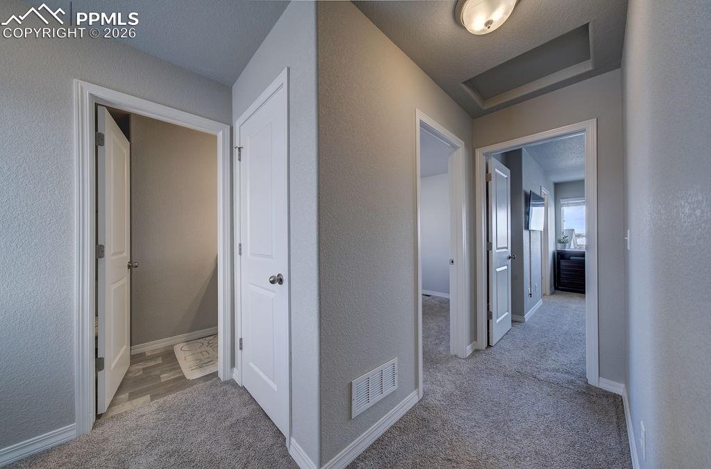 Image 29 of 32: Other