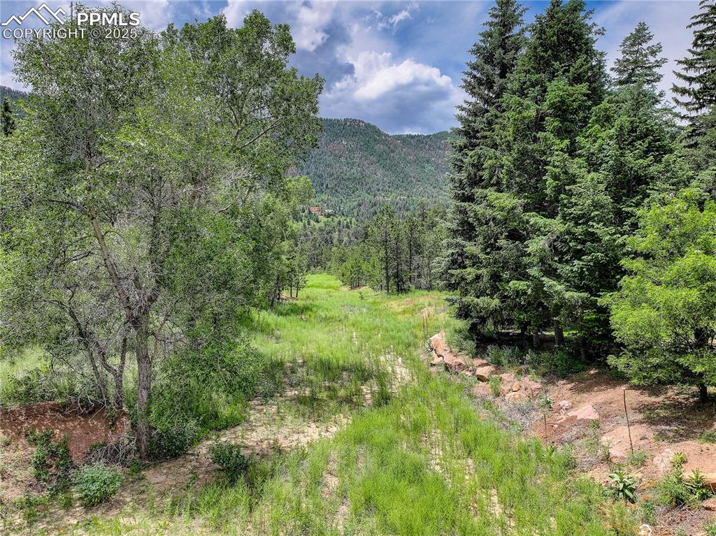 Image 13 of 41: Peaceful stream & hiking trails