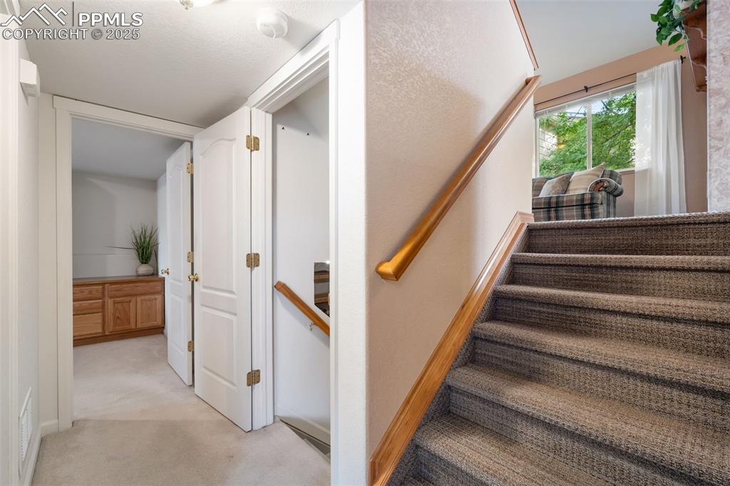 Image 25 of 36: Stairway with carpet flooring