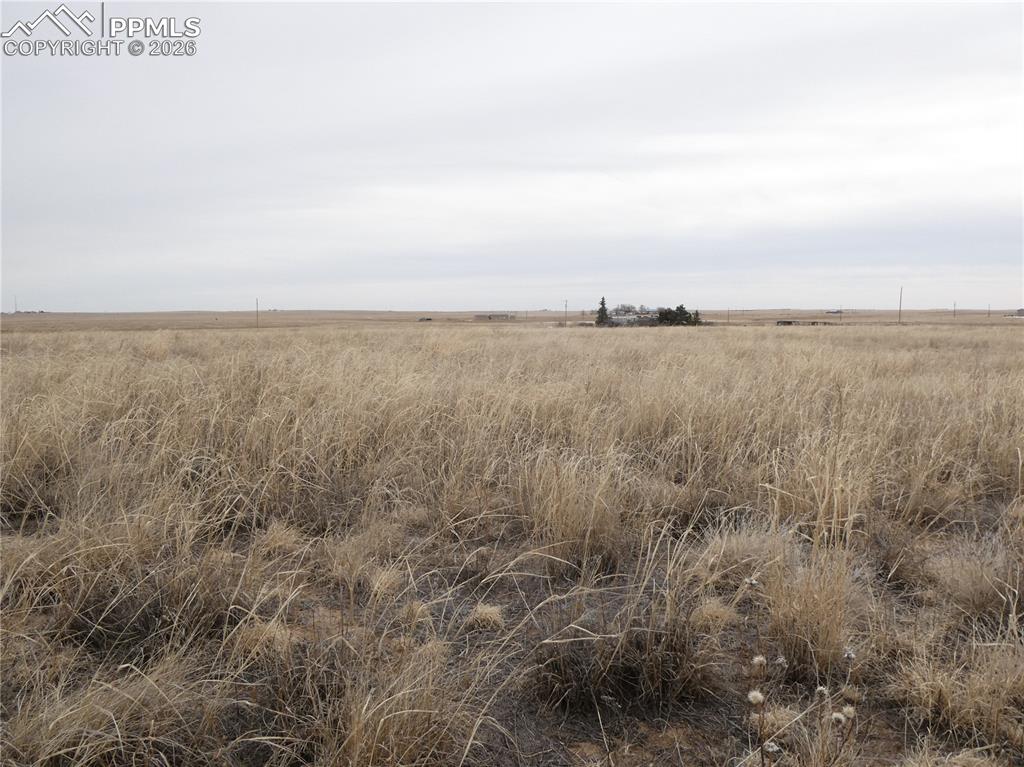 Image 10 of 15: View