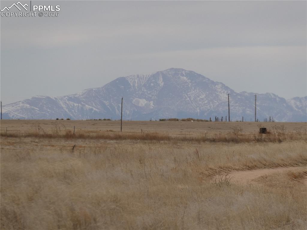 Image 12 of 15: View