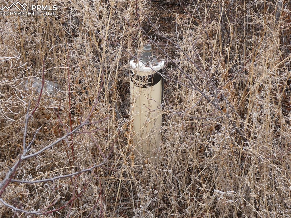 Image 14 of 15: Other