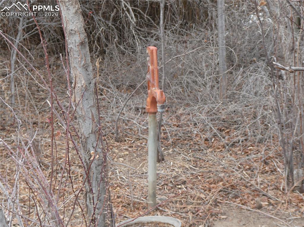 Image 18 of 18: Other