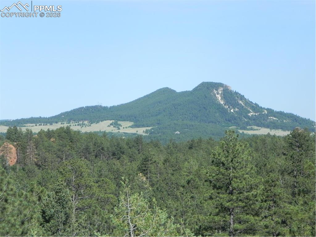 Image 10 of 19: View form lot