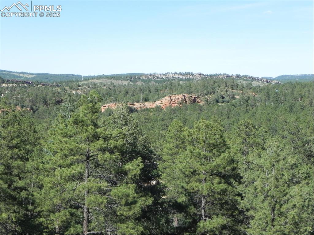 Image 11 of 19: No Description Available