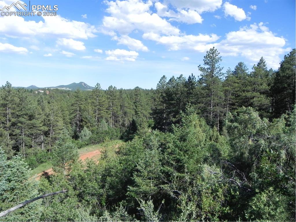 Image 13 of 19: No Description Available