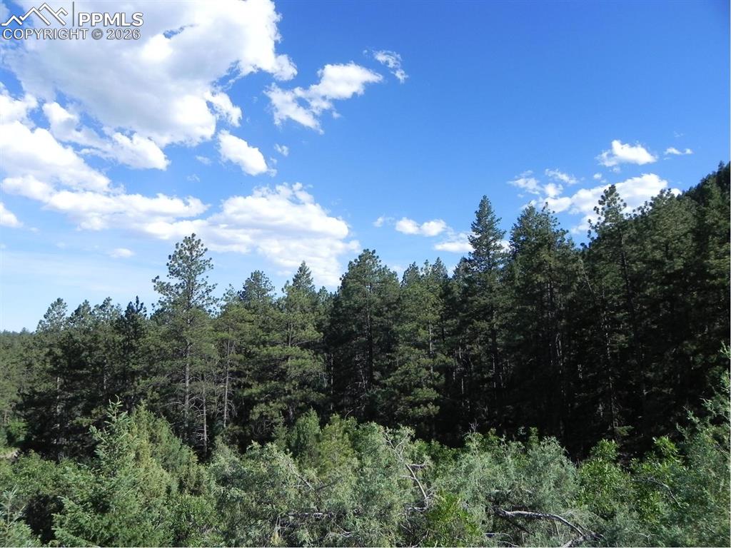 Image 14 of 19: No Description Available