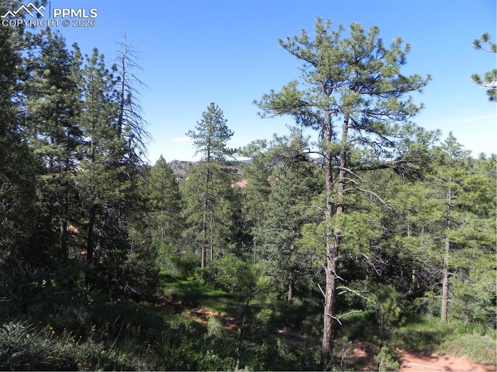 Image 17 of 19: No Description Available