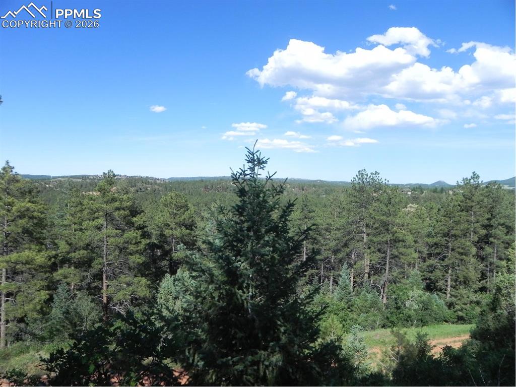 Image 18 of 19: No Description Available