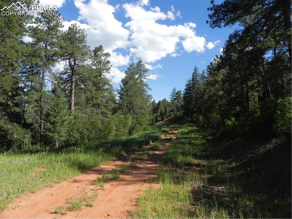 Image 19 of 19: No Description Available