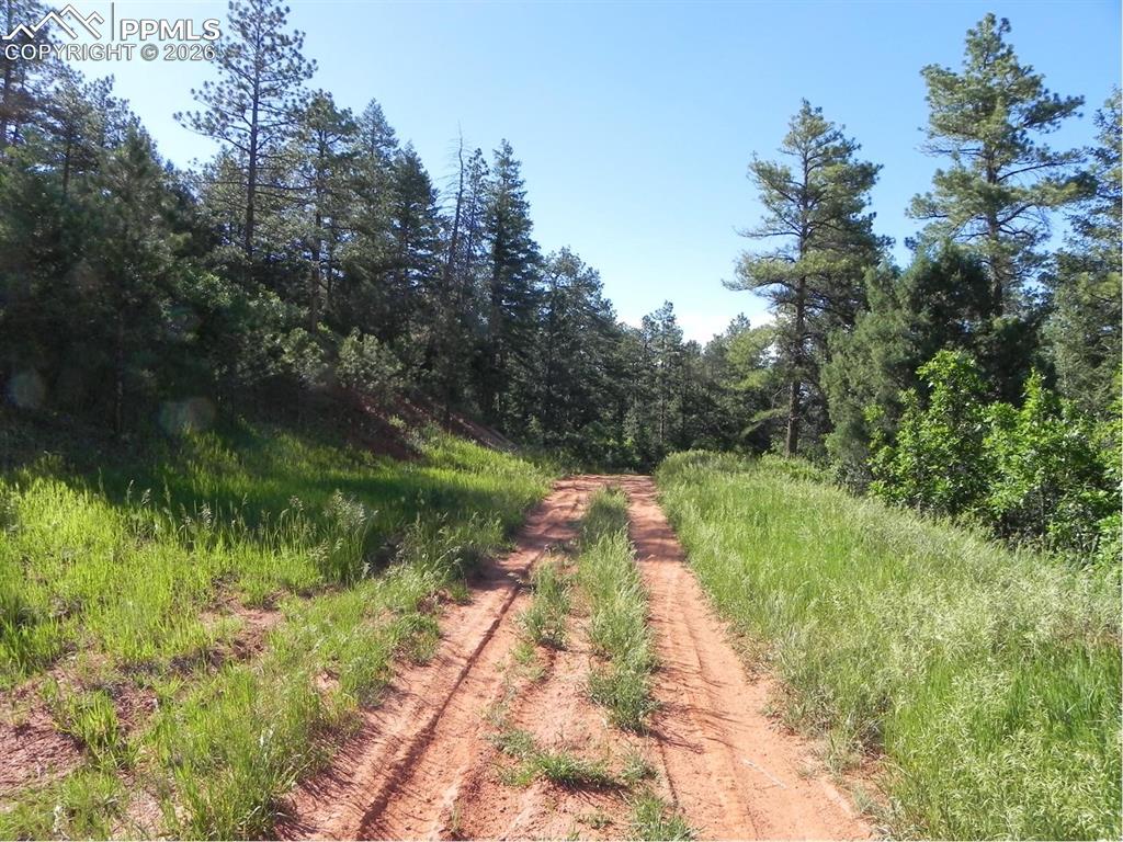 Image 2 of 19: No Description Available