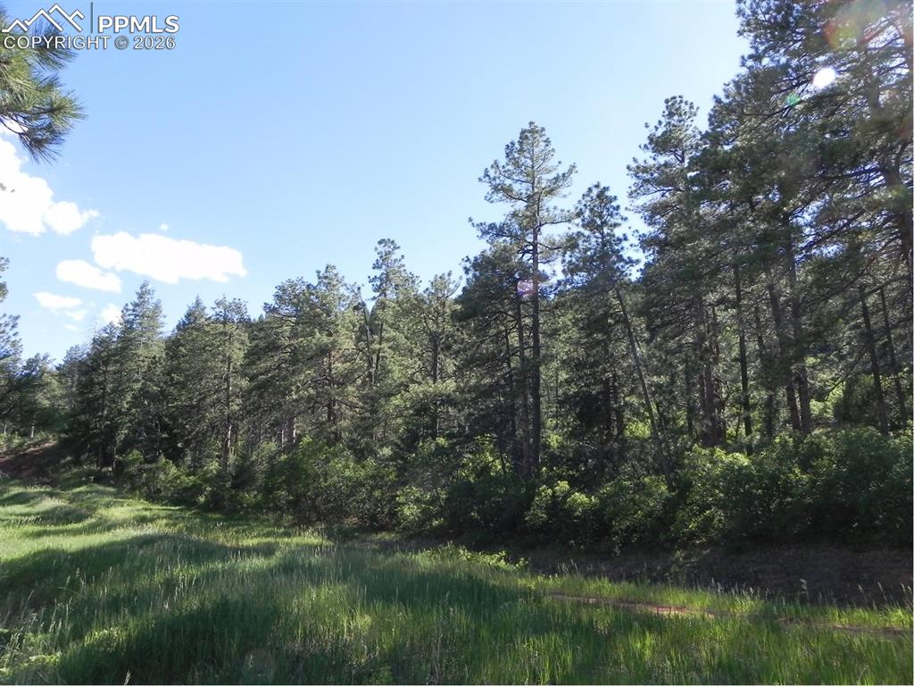 Image 4 of 19: No Description Available