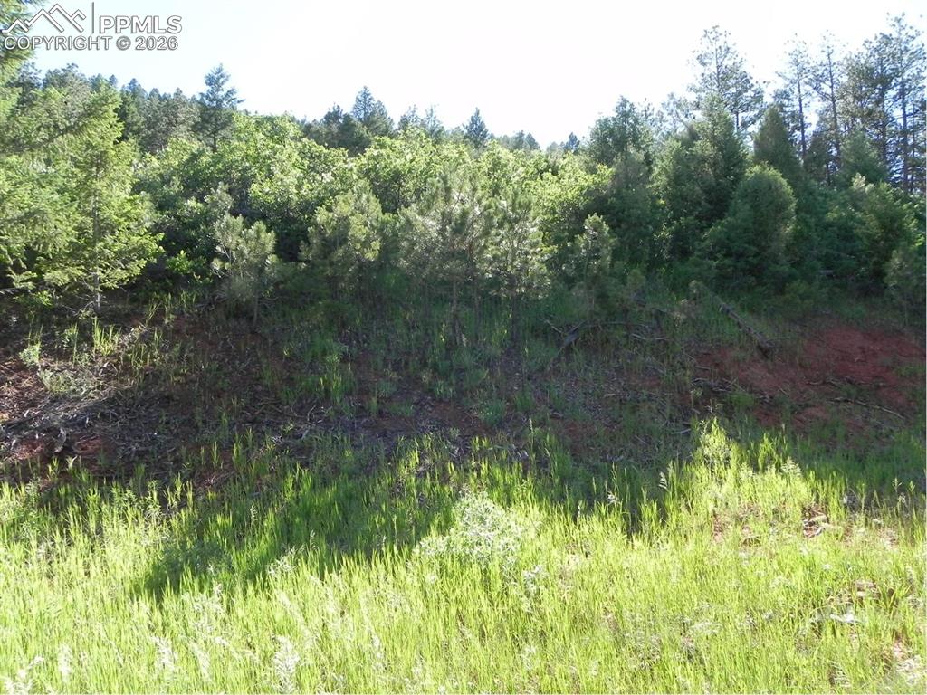 Image 5 of 19: No Description Available