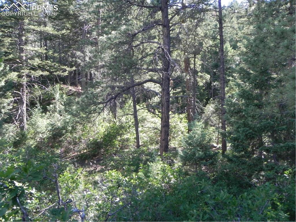 Image 7 of 19: No Description Available