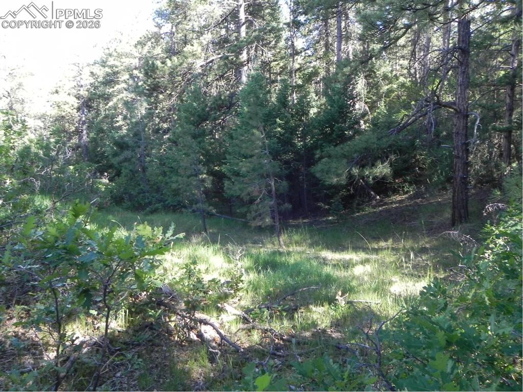 Image 8 of 19: No Description Available