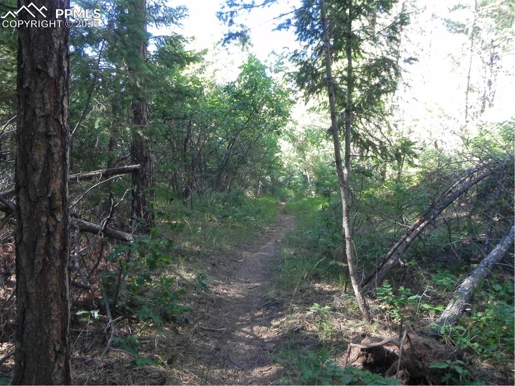 Image 9 of 19: No Description Available