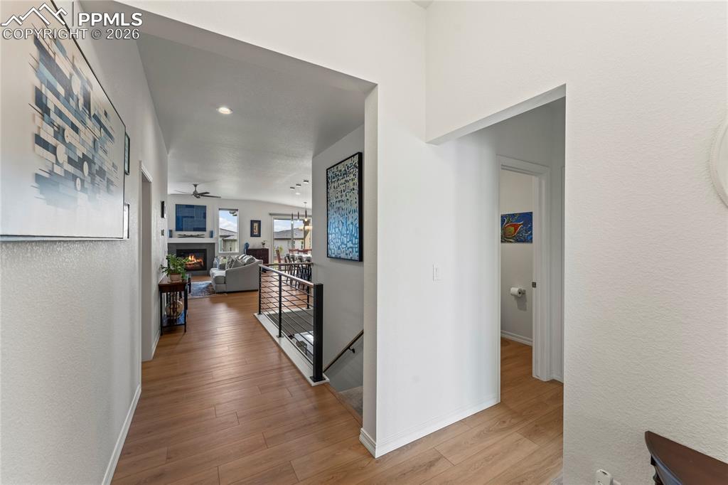 Image 5 of 46: Other