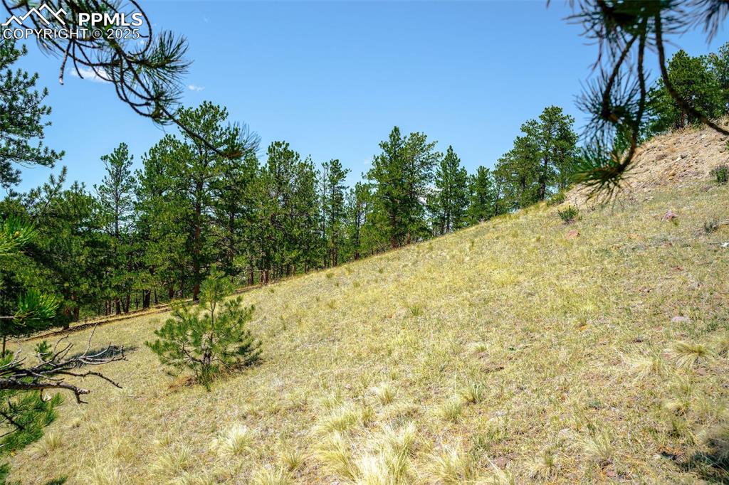 Image 10 of 22: Other