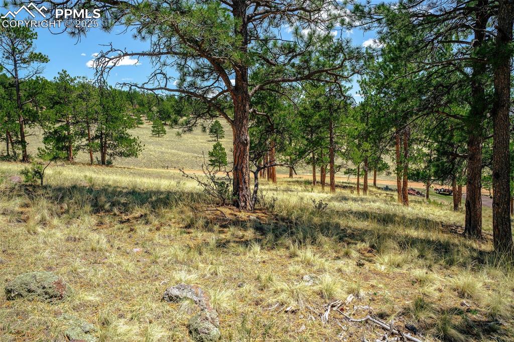 Image 11 of 22: Other