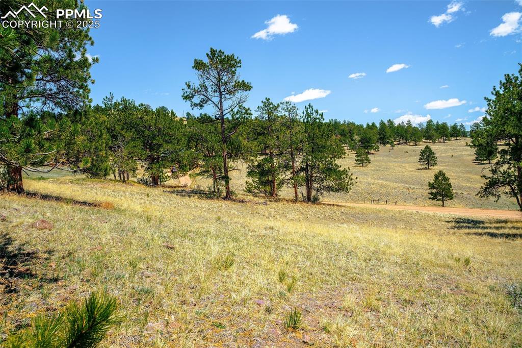 Image 20 of 22: Other