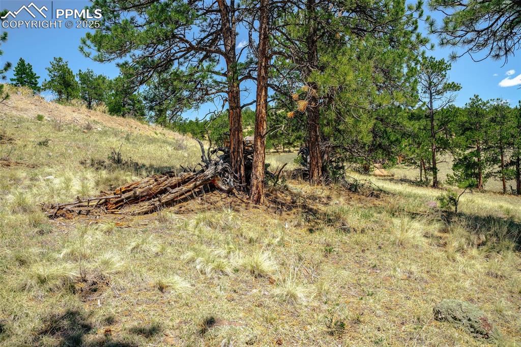 Image 22 of 22: Other