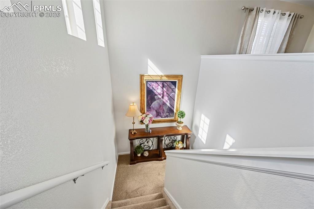 Image 12 of 27: Other