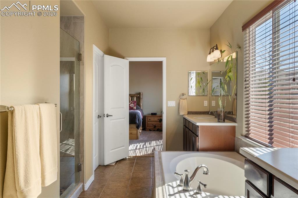 Image 22 of 43: No Description Available