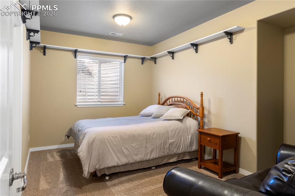 Image 30 of 43: Basement bedroom with walk in closet. 
