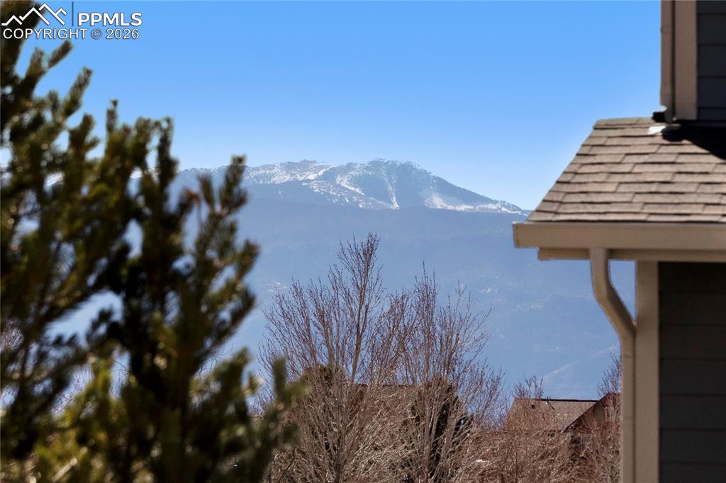 Image 36 of 43: No Description Available