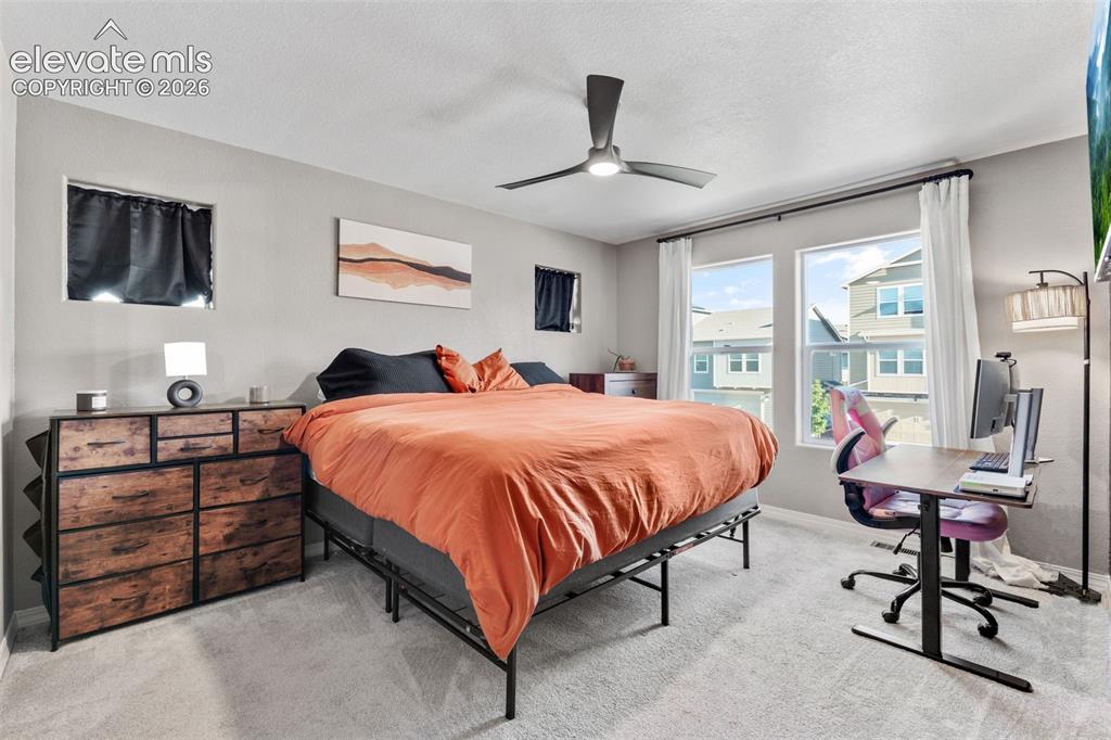 Image 20 of 38: Carpeted room featuring a ceiling fan, dual windows with exterior views, an