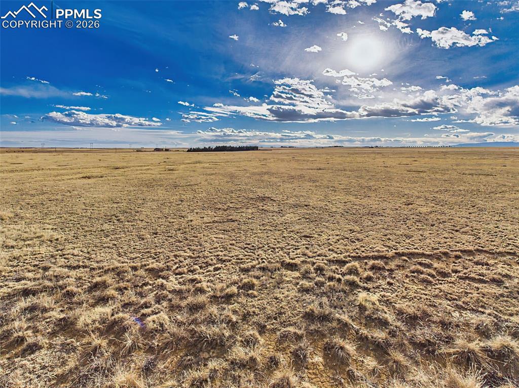 Image 4 of 13: Elevated Prairie View – Slightly elevated vantage point offering depth acro