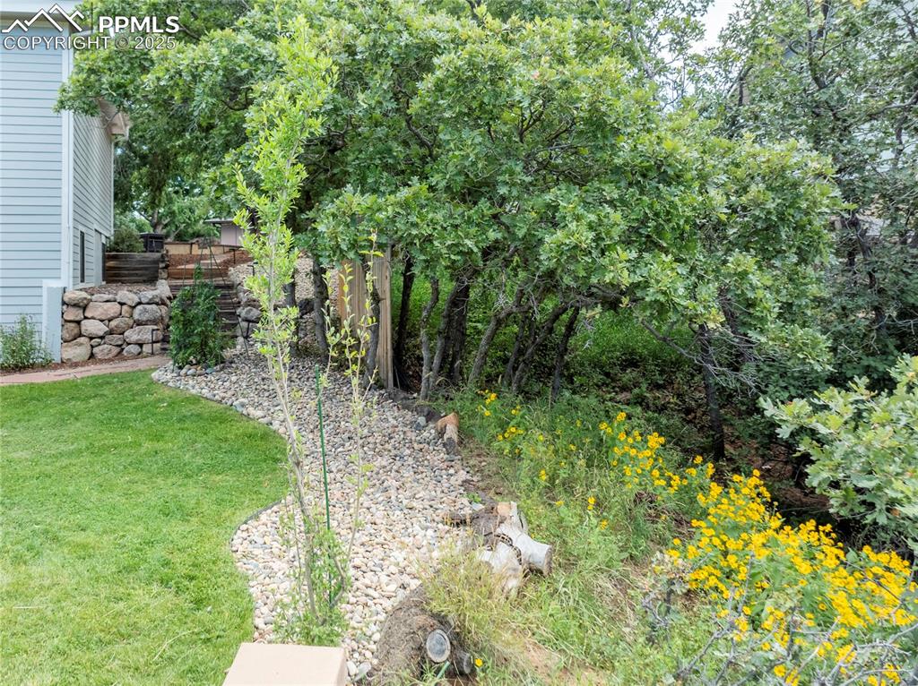 Image 13 of 40: Yard