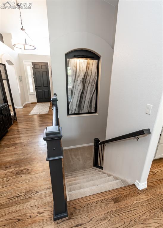 Image 34 of 50: Other