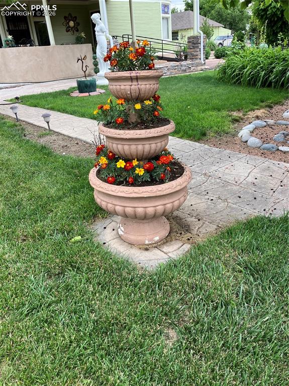 Image 49 of 50: Yard