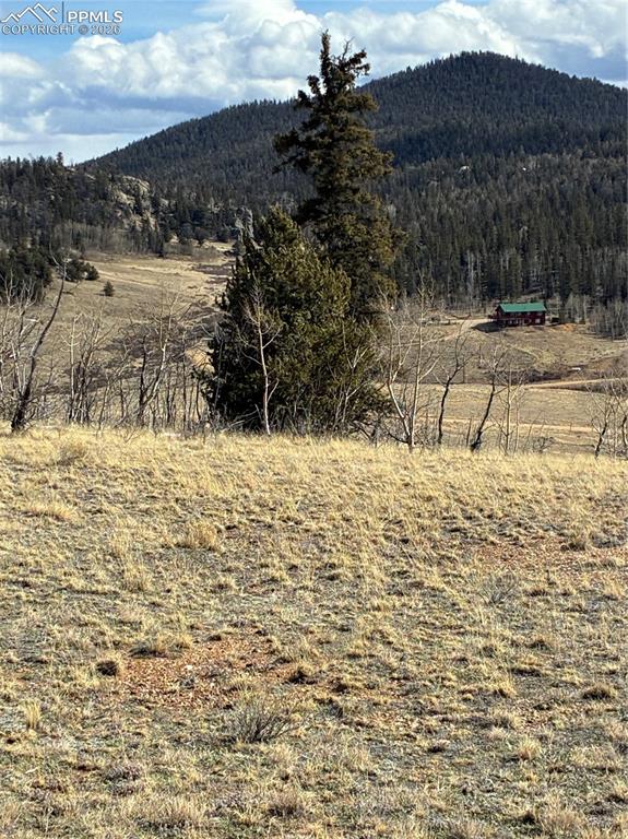 Image 11 of 38: View