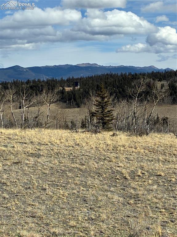 Image 12 of 38: View