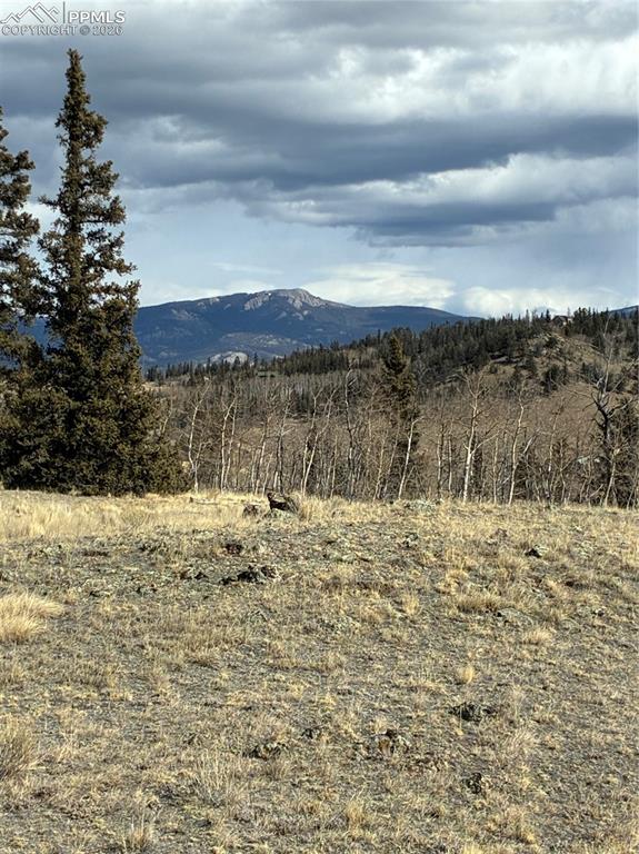 Image 13 of 38: View