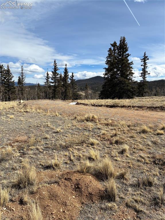 Image 14 of 38: View