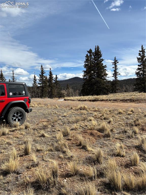 Image 15 of 38: Yard