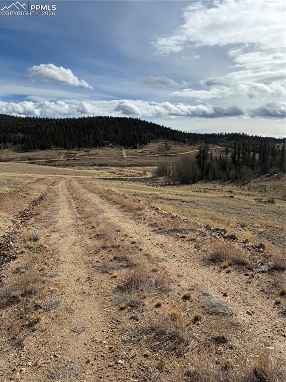 Image 20 of 38: View